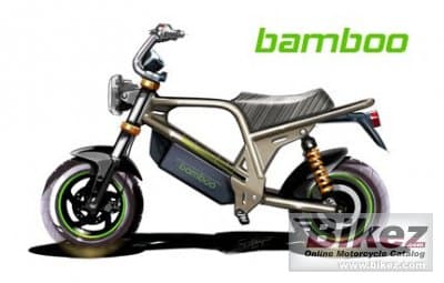 Clipic Bamboo 2013